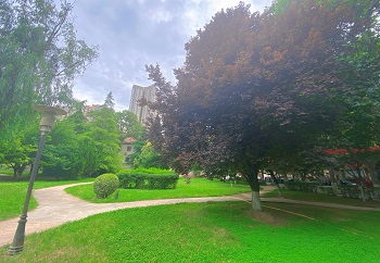 学校公园