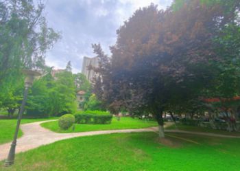 陕西北方学校校园环境怎么样？