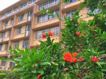 西安高职专科哪个学校好-西安有哪些高职学校