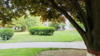 西安高职高专院校-西安的公办高职院校有哪些？