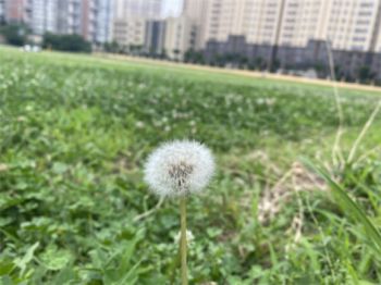 西安高职高专学校-西安的专科院校有哪些