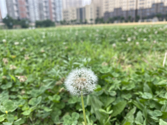 微信图片_2021062416160616.jpg