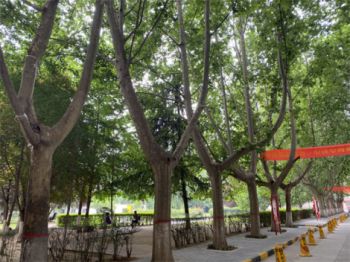 西安高职扩招100万-今年高职扩招100万，我河北的初中没毕业就跟着师傅学了汽修，可以报名高职学习吗，怎么报