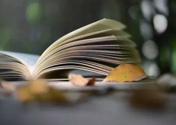 “共建书香校园，同享读书之乐”读后感展示