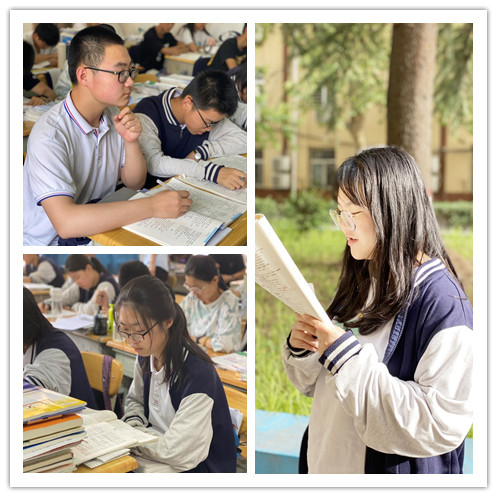 1627778946179356.jpg 1.jpg