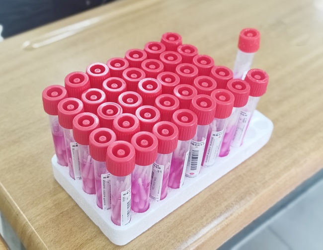 西安职高陕西北方学校核酸检测